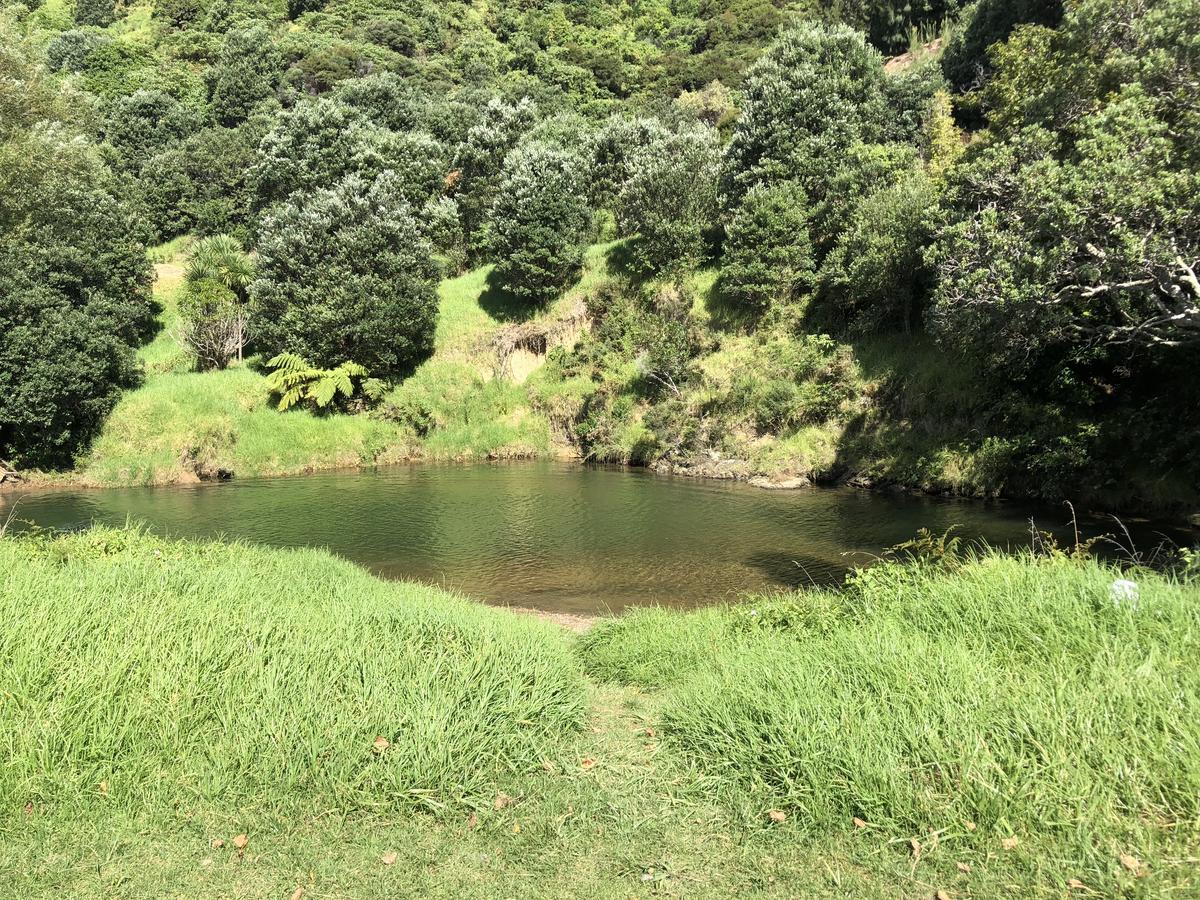 Bed and Breakfast Te Mata Bay Seaviews Tapu Exterior foto