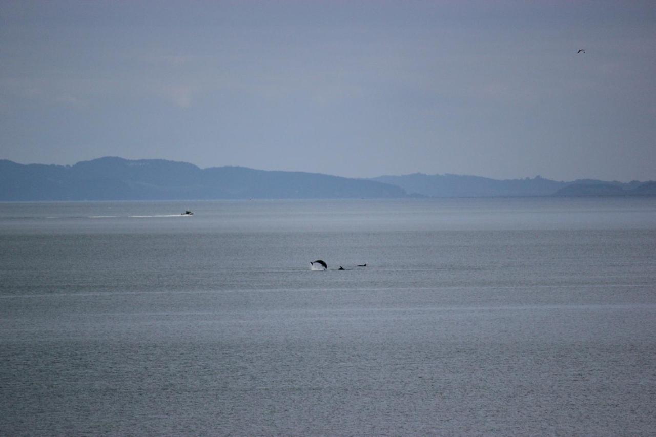 Bed and Breakfast Te Mata Bay Seaviews Tapu Exterior foto